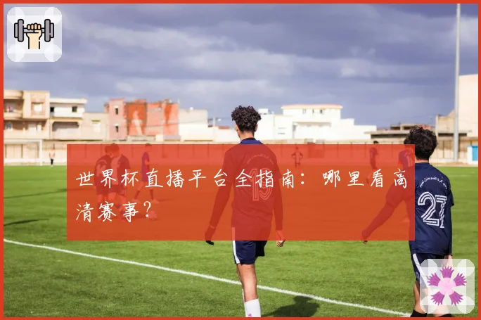 世界杯直播平台全指南：哪里看高清赛事？