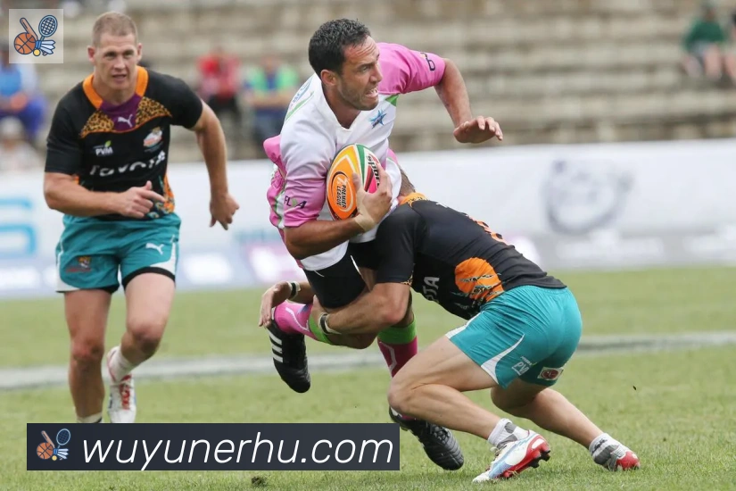 开云app登录入口平台生态图