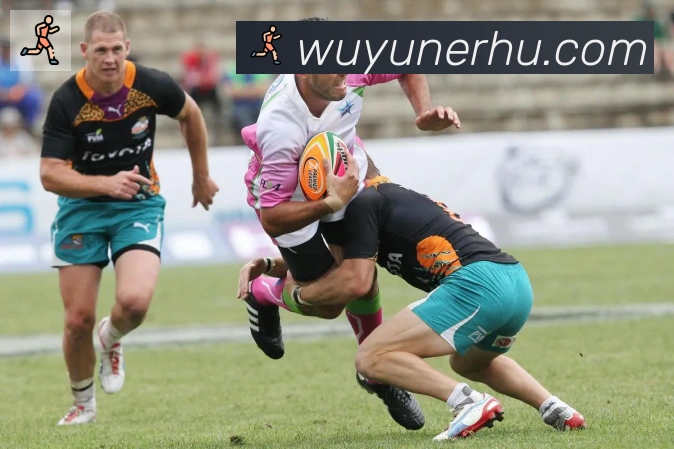 开云app登录入口品牌故事