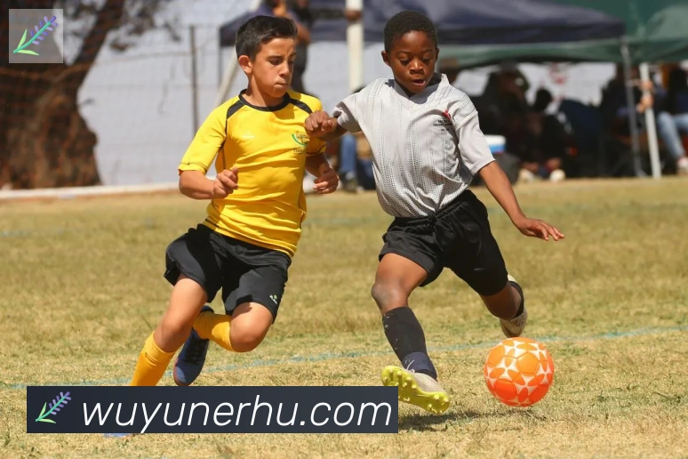 App Interface Preview