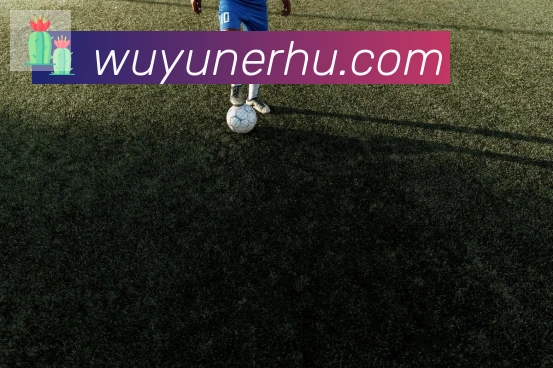 世俱杯比赛用球科技创新推动足球运动发展的实例