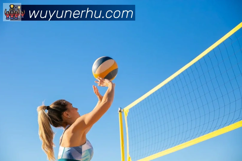 开云app登录入口荣誉