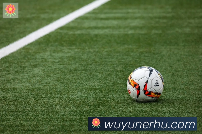 开云app登录入口荣誉