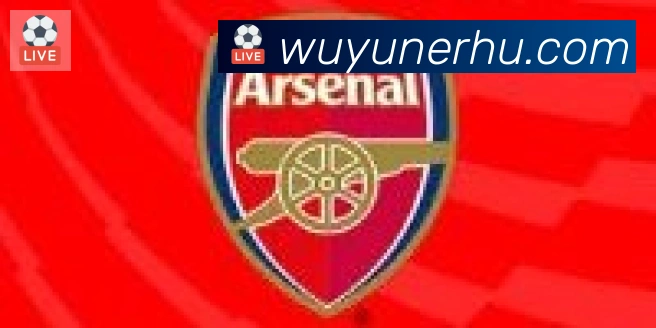 开云app登录入口合作伙伴