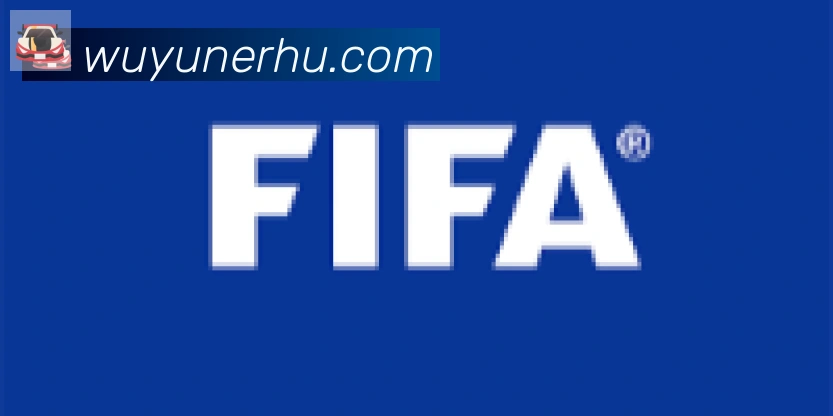 开云app登录入口合作伙伴