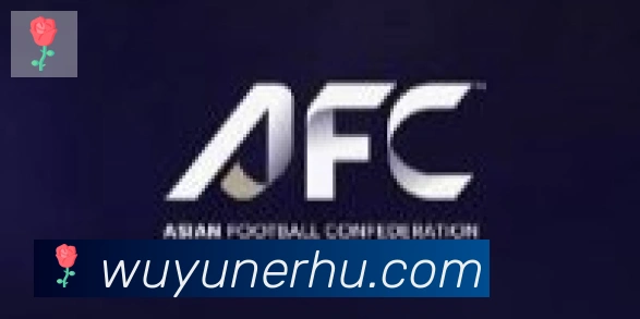 开云app登录入口合作伙伴