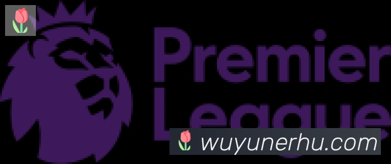 开云app登录入口合作伙伴